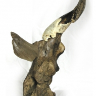 fluegelhorn